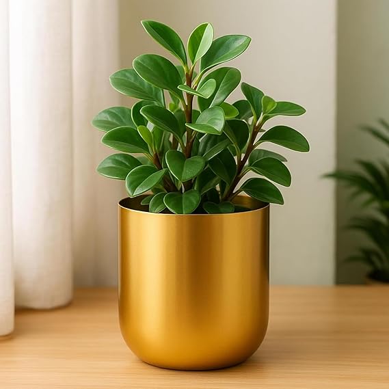 4.3 inches Round Metal Planter for Home Decor
